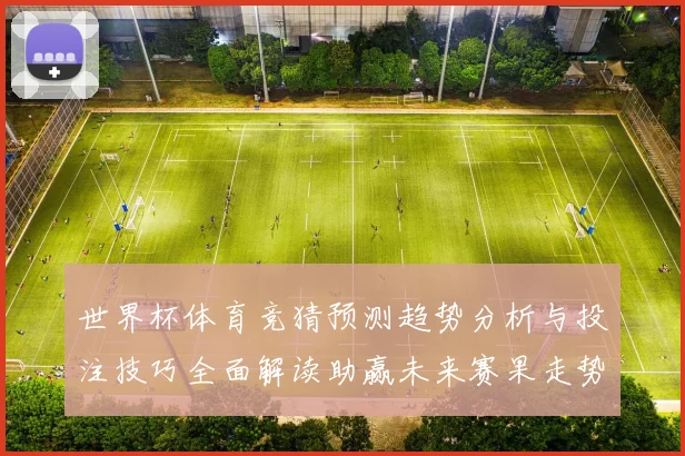 世界杯体育竞猜预测趋势分析与投注技巧全面解读助赢未来赛果走势